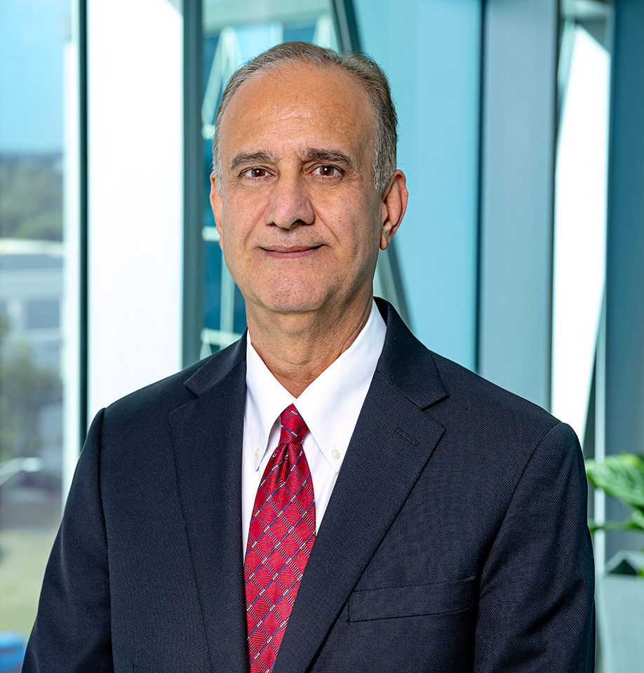 Raj Srinath portrait
